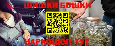 гашик Новодвинск