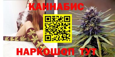 гашик Новодвинск