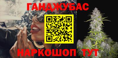 гашик Новодвинск