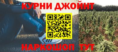 гашик Новодвинск