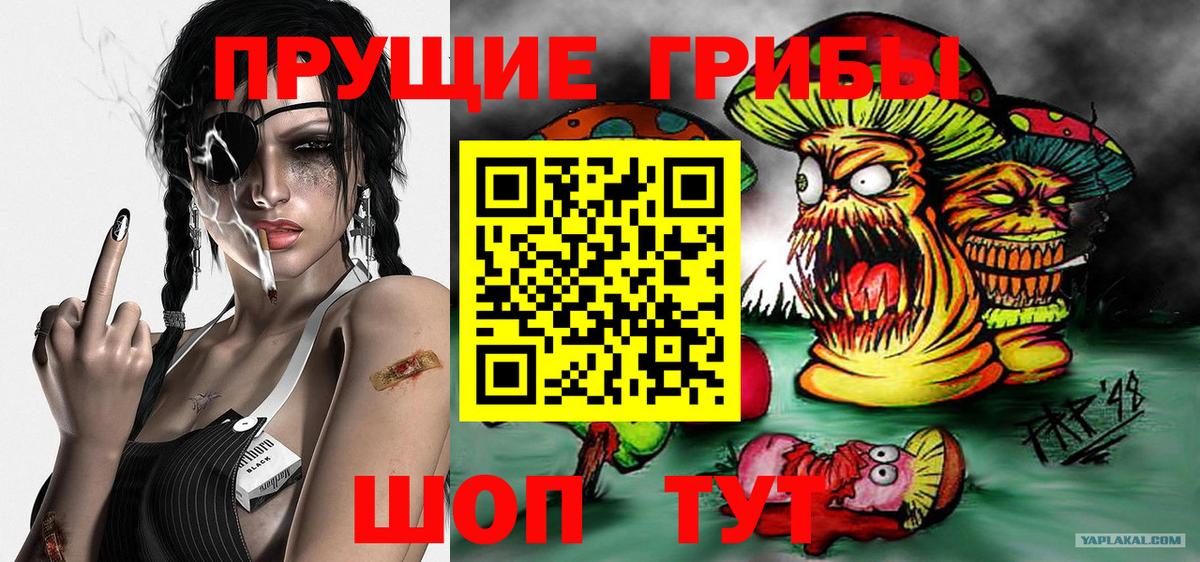 Галлюциногенные грибы MAGIC MUSHROOMS  Вход с VPN  Соль-Илецк  наркотики  Галлюциногенные грибы мицелий 