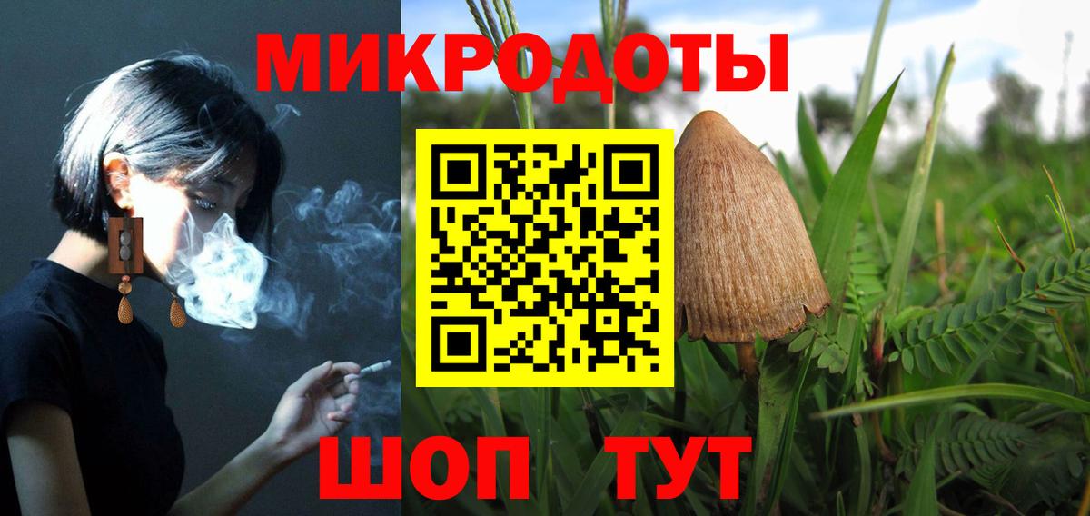 Псилоцибиновые грибы Psilocybine cubensis Соль-Илецк
